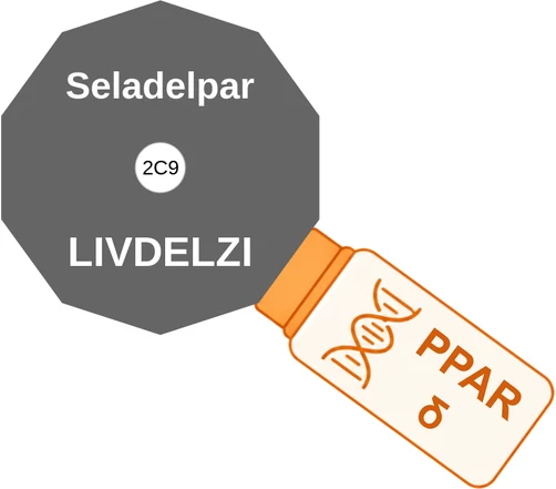 Seladelpar ballicule — decagon diagram of its receptor and enzyme targets