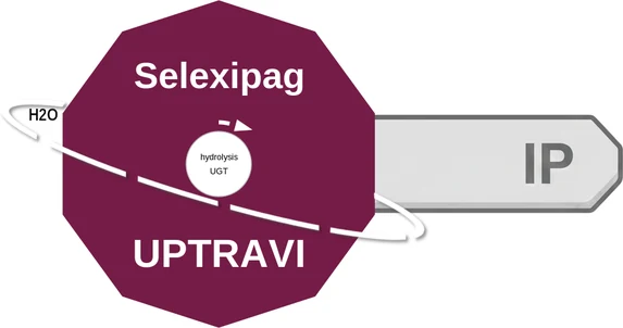 Selexipag ballicule — decagon diagram of its receptor and enzyme targets
