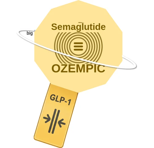 Semaglutide ballicule — decagon diagram of its receptor and enzyme targets
