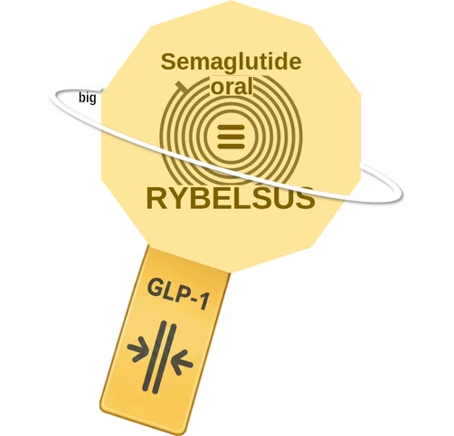 Semaglutide oral ballicule — decagon diagram of its receptor and enzyme targets