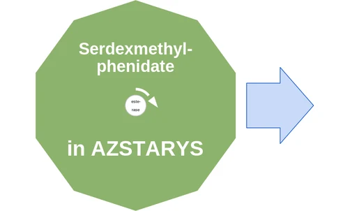 Serdexmethylphenidate ballicule — decagon mechanism diagram