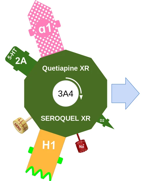 Quetiapine XR ballicule — decagon diagram of its receptor and enzyme targets