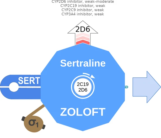 Sertraline ballicule — decagon diagram of its receptor and enzyme targets