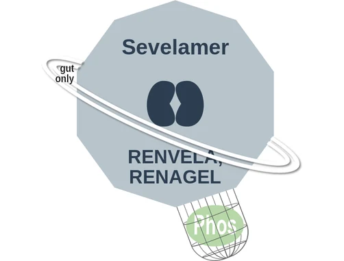 Sevelamer ballicule — decagon diagram of its receptor and enzyme targets
