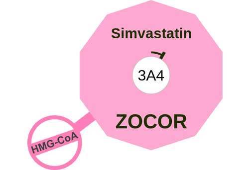 Simvastatin ballicule — decagon diagram of its receptor and enzyme targets