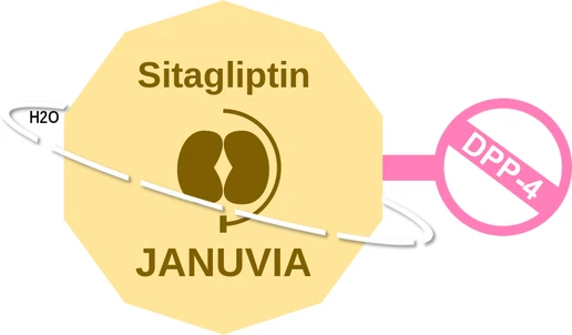 Sitagliptin ballicule — decagon diagram of its receptor and enzyme targets