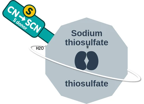 Sodium thiosulfate ballicule — decagon diagram of its receptor and enzyme targets