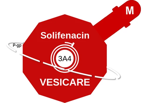 Solifenacin ballicule — decagon diagram of its receptor and enzyme targets