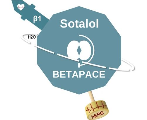 Sotalol ballicule — decagon diagram of its receptor and enzyme targets