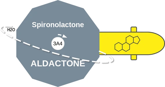 Spironolactone ballicule — decagon diagram of its receptor and enzyme targets