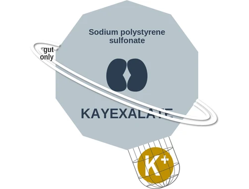 Sodium polystyrene sulfonate ballicule — decagon diagram of its receptor and enzyme targets