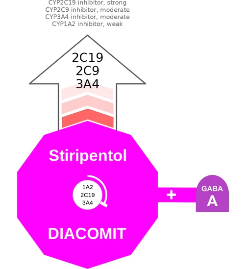 Stiripentol ballicule — decagon mechanism diagram