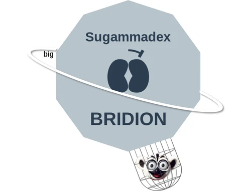 Sugammadex ballicule — decagon diagram of its receptor and enzyme targets