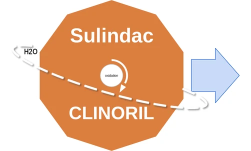 Sulindac ballicule — decagon diagram of its receptor and enzyme targets