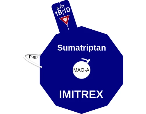 Sumatriptan ballicule — decagon diagram of its receptor and enzyme targets