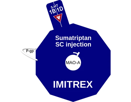 Sumatriptan SC injection ballicule — decagon diagram of its receptor and enzyme targets
