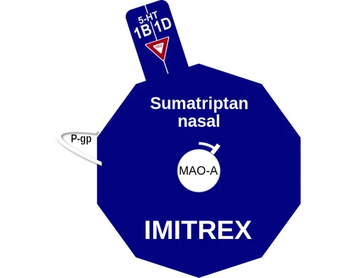 Sumatriptan nasal ballicule — decagon diagram of its receptor and enzyme targets
