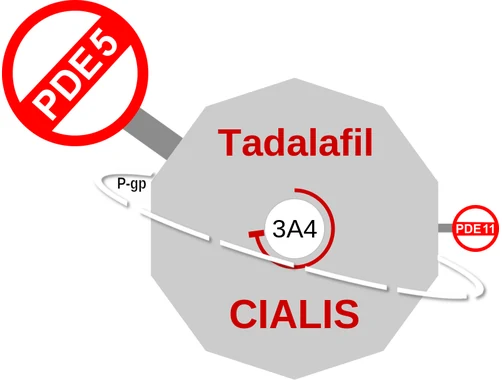 Tadalafil ballicule — decagon diagram of its receptor and enzyme targets