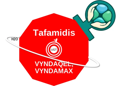 Tafamidis ballicule — decagon diagram of its receptor and enzyme targets