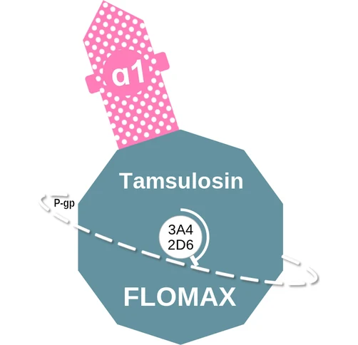 Tamsulosin ballicule — decagon diagram of its receptor and enzyme targets