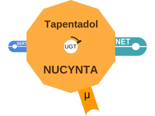 Tapentadol ballicule — decagon diagram of its receptor and enzyme targets