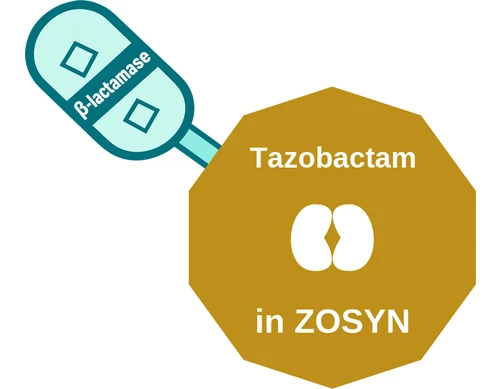 Tazobactam ballicule — decagon diagram of its receptor and enzyme targets