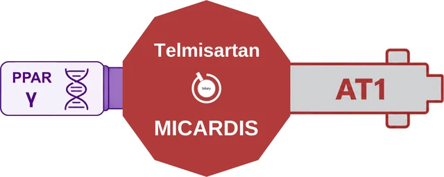 Telmisartan ballicule — decagon diagram of its receptor and enzyme targets