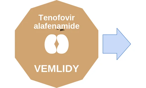 Tenofovir alafenamide ballicule — decagon diagram of its receptor and enzyme targets