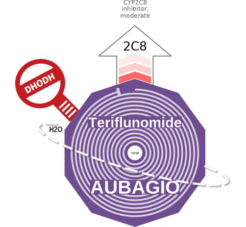 Teriflunomide ballicule — decagon diagram of its receptor and enzyme targets