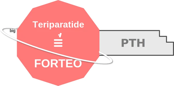 Teriparatide ballicule — decagon diagram of its receptor and enzyme targets