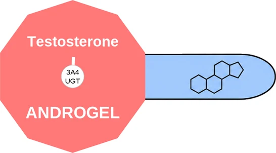 Testosterone ballicule — decagon diagram of its receptor and enzyme targets