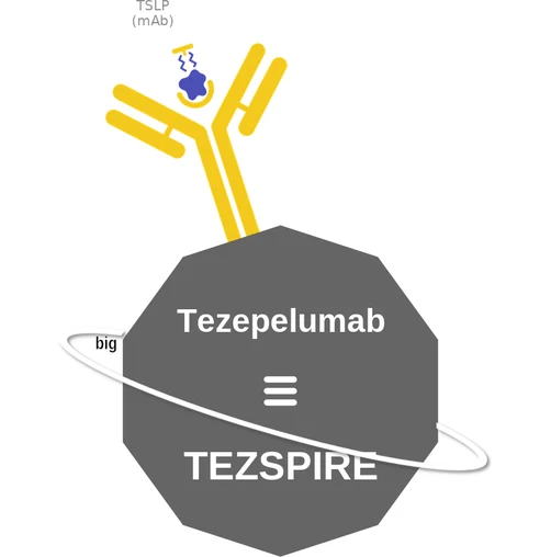 Tezepelumab ballicule — decagon diagram of its receptor and enzyme targets