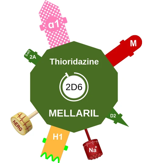 Thioridazine ballicule — decagon diagram of its receptor and enzyme targets