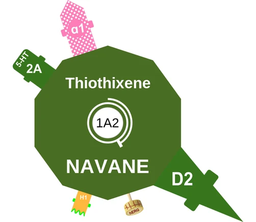 Thiothixene ballicule — decagon diagram of its receptor and enzyme targets