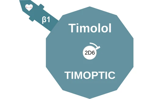 Timolol ballicule — decagon diagram of its receptor and enzyme targets