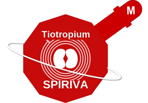 Tiotropium ballicule — decagon diagram of its receptor and enzyme targets