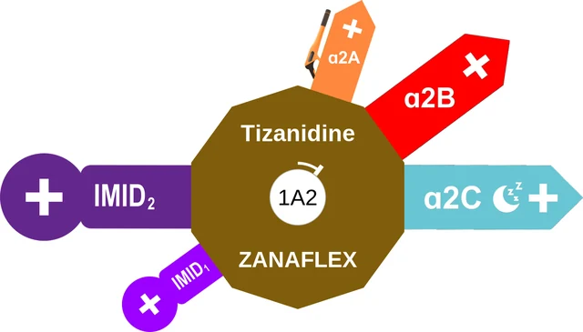 Tizanidine ballicule — decagon diagram of its receptor and enzyme targets