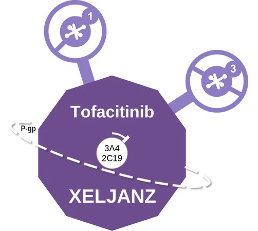 Tofacitinib ballicule — decagon diagram of its receptor and enzyme targets