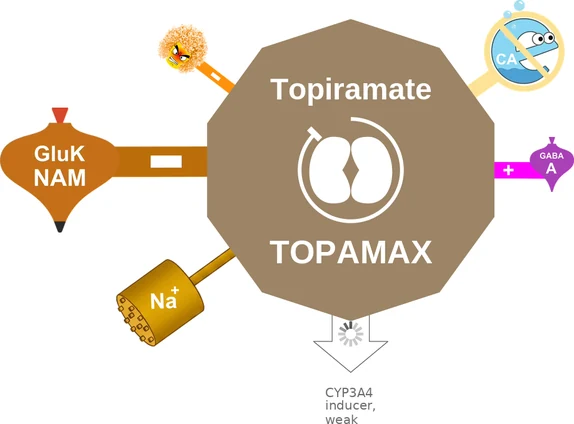 Topiramate ballicule — decagon diagram of its receptor and enzyme targets