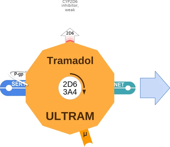Tramadol ballicule — decagon diagram of its receptor and enzyme targets