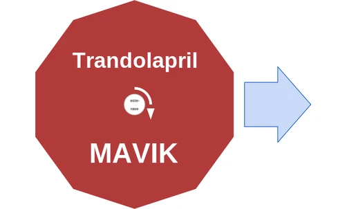 Trandolapril ballicule — decagon diagram of its receptor and enzyme targets