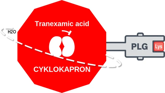 Tranexamic acid ballicule — decagon diagram of its receptor and enzyme targets
