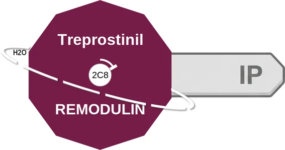 Treprostinil ballicule — decagon diagram of its receptor and enzyme targets