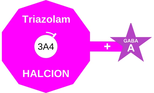 Triazolam ballicule — decagon diagram of its receptor and enzyme targets