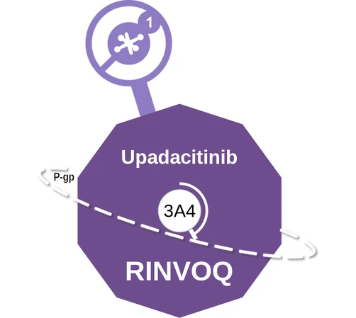 Upadacitinib ballicule — decagon diagram of its receptor and enzyme targets