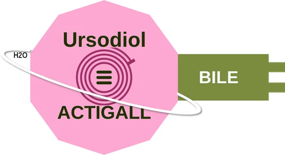 Ursodiol ballicule — decagon diagram of its receptor and enzyme targets