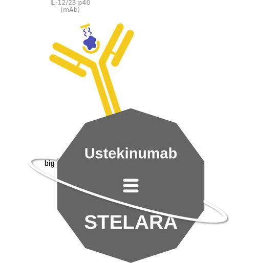 Ustekinumab ballicule — decagon diagram of its receptor and enzyme targets