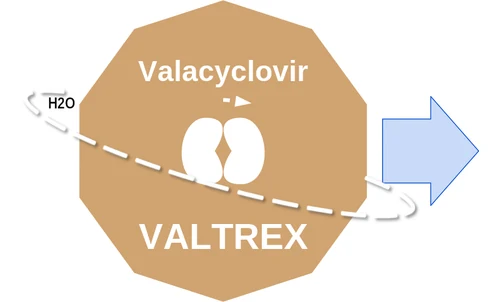 Valacyclovir ballicule — decagon diagram of its receptor and enzyme targets