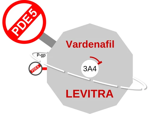 Vardenafil ballicule — decagon diagram of its receptor and enzyme targets