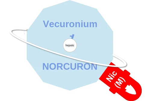 Vecuronium ballicule — decagon diagram of its receptor and enzyme targets
